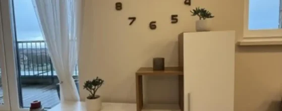 Šviesi svetainė su virtuve bute Klaipėdos centre pilnai įrengtas penthouse