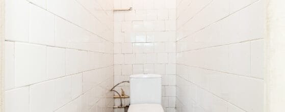 2025-08-15 Danes g (101)