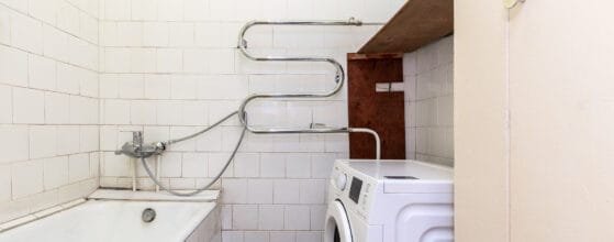 2025-08-15 Danes g (104)