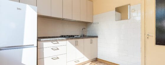 2025-08-15 Danes g (105)