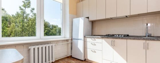 2025-08-15 Danes g (106)