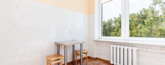 2025-08-15 Danes g (107)