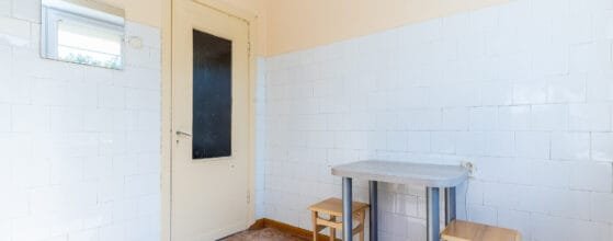 2025-08-15 Danes g (108)