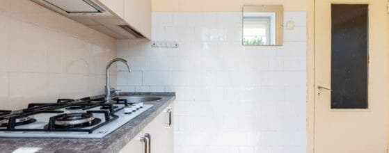 2025-08-15 Danes g (109)