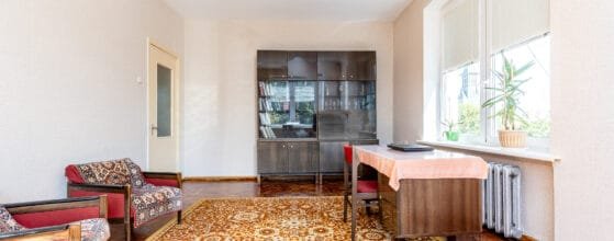 2025-08-15 Danes g (115)