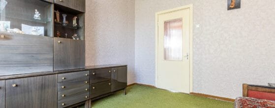 2025-08-15 Danes g (119)