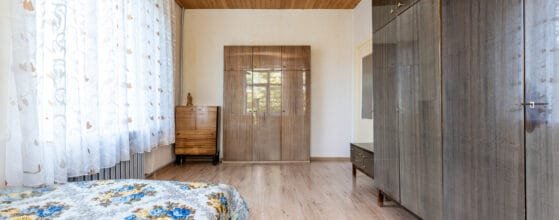 2025-08-15 Danes g (122)