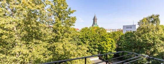 2025-08-15 Danes g (125)