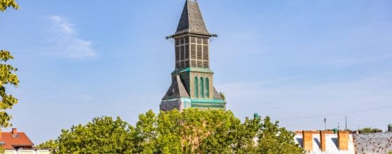 2025-08-15 Danes g (126)