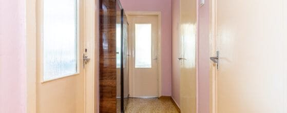 2025-08-15 Danes g (128)