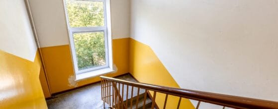 2025-08-15 Danes g (130)