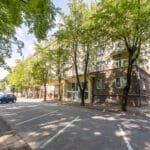 2025-08-15 Danes g (131)