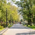 2025-08-15 Danes g (133)