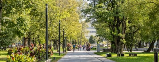 2025-08-15 Danes g (133)