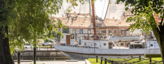 2025-08-15 Danes g (134)