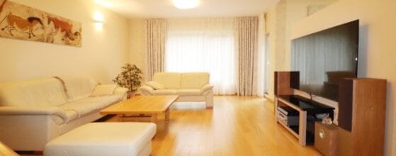 Erdvi svetainė su virtuve parduodamame sublokuotame name Klaipėdoje