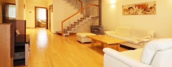 Erdvi svetainė su virtuve parduodamame sublokuotame name Klaipėdoje