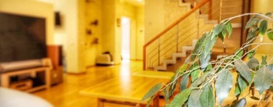 Erdvi svetainė su virtuve parduodamame sublokuotame name Klaipėdoje