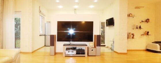 Erdvi svetainė su virtuve parduodamame sublokuotame name Klaipėdoje