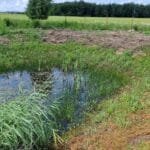 sklypas Dargužiai Kalviukų g. namų valdos sklypas Klaipėdos rajone prie jūros