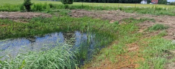 sklypas Dargužiai Kalviukų g. namų valdos sklypas Klaipėdos rajone prie jūros