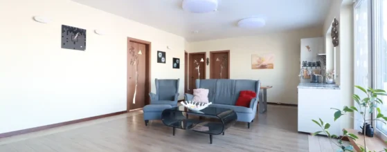 svetainė su skandinavišku židiniu ir aukštomis lubomis