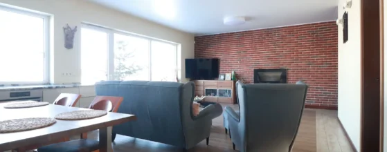 svetainė su skandinavišku židiniu ir aukštomis lubomis