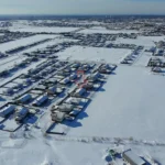 privatus sklypas su pušimis ir vaismedžiais