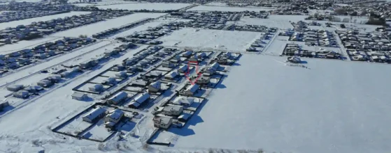 privatus sklypas su pušimis ir vaismedžiais