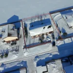 privatus sklypas su pušimis ir vaismedžiais