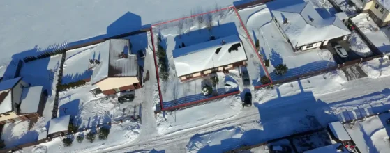 privatus sklypas su pušimis ir vaismedžiais