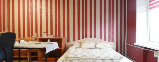 Jaukus ir šviesus kambarys su baldais Klaipėdos senamiestyje.