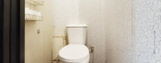 tualetas bute Gargžduose