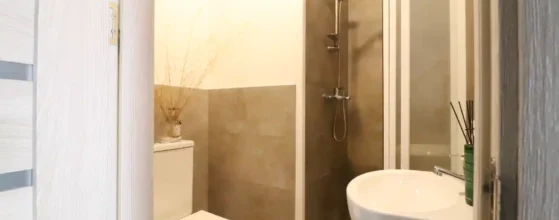 Sanitarinis mazgas dviejų aukštų kotedže Trušeliuose